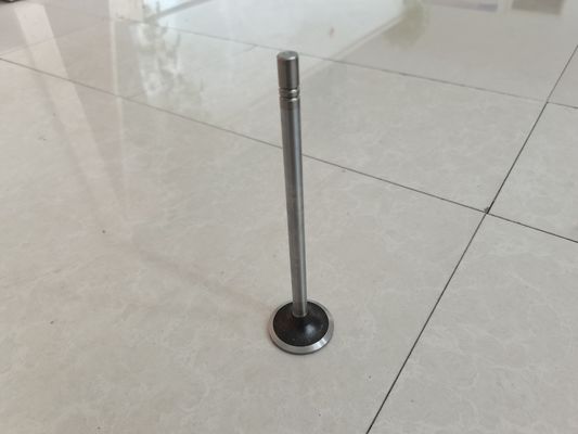 La válvula de toma de motor piezas de la válvula de escape 252-7802 224-3030 modificado para requisitos particulares