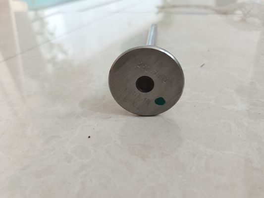 La válvula de toma de motor piezas de la válvula de escape 252-7802 224-3030 modificado para requisitos particulares