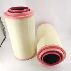 Piezas de recambio del filtro de aire de motor AF25767 3840036 24424482