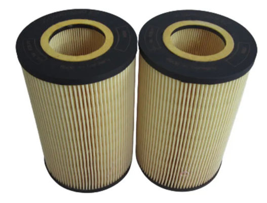 El filtro de aceite auténtico del motor diesel parte 01174421 con el embalaje neutral