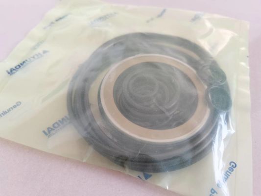 Excavador hidráulico Seal Kit Customized XKAY-00553 R210LC-7 R160LC-7