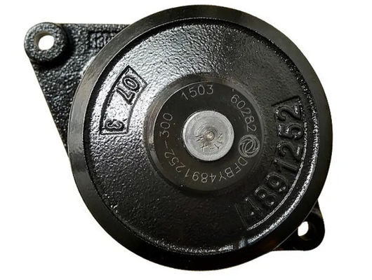 Bomba de agua del motor diesel QSB6.7 3800984 de la bomba de líquido refrigerador 4891252